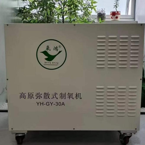 30L弥散制氧机